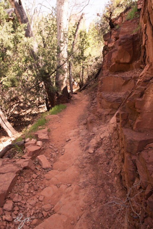 Cathedral Rock hiking - nice trails.  Lucky - no snakes!  :-)